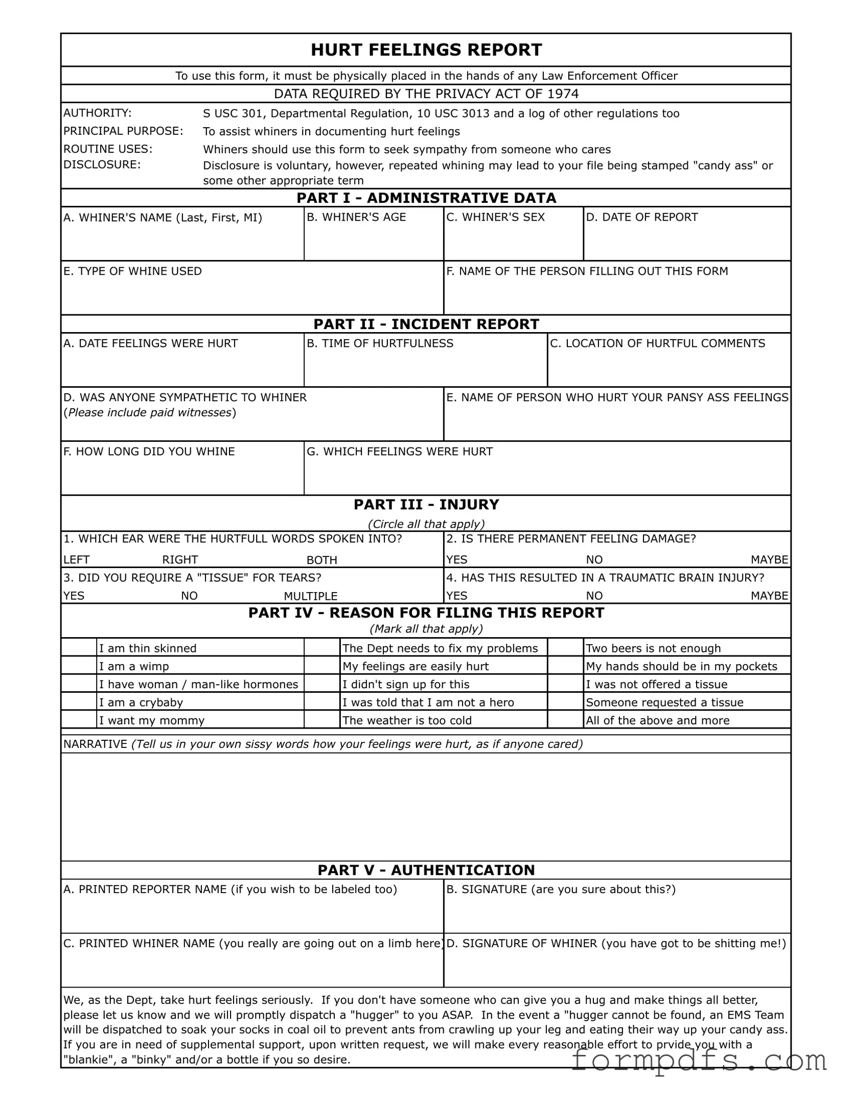 Blank Hurt Feelings Report PDF Form