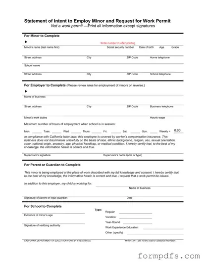 Blank Statement of Intent to Employ Minor and Request for Work Permit PDF Form