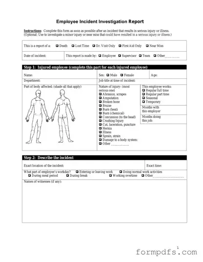 Blank Employee Accident Report PDF Form