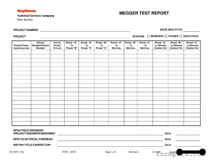 Blank Megger Test PDF Form