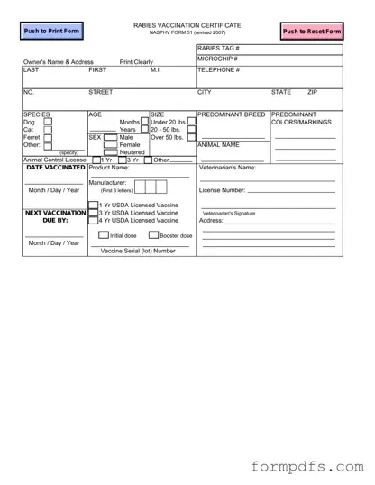 Blank Rabies Certificate PDF Form
